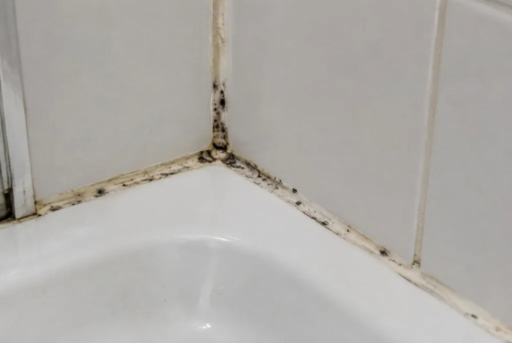 Kitbedrijf Castricum – beschimmelde kitranden